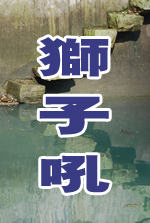 ź
